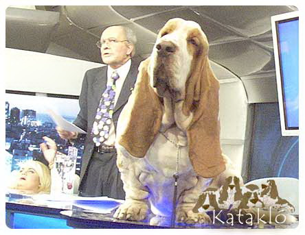 Milko en la televisión Milko en la televisión
