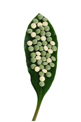 ¿Qué es bueno para la disfunción eréctil masculina?